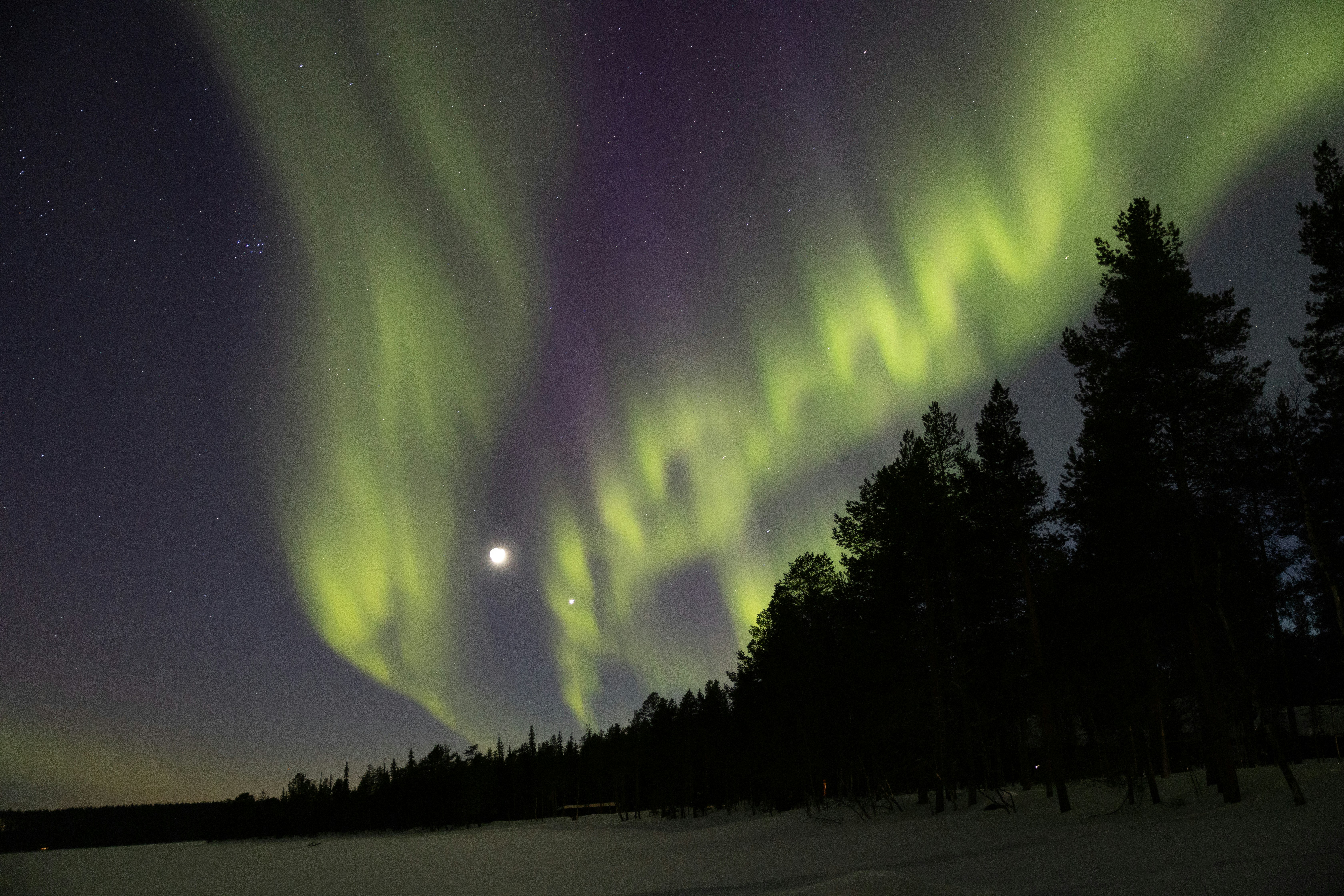 Northern Lights over a snowy forest in Finland